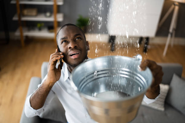 Best Basement water damage restoration  in Lowes Island, VA