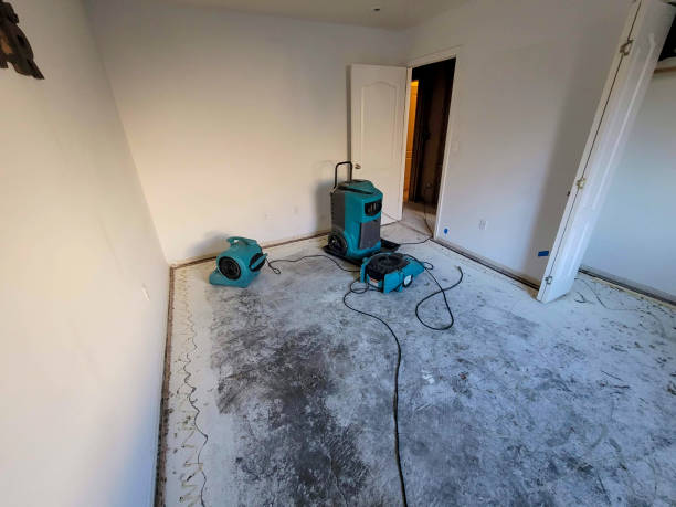 Best Flood restoration services  in Lowes Island, VA