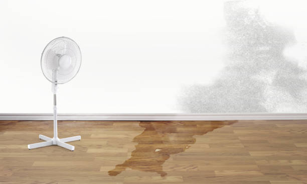 Best Sewage cleanup and water damage restoration  in Lowes Island, VA