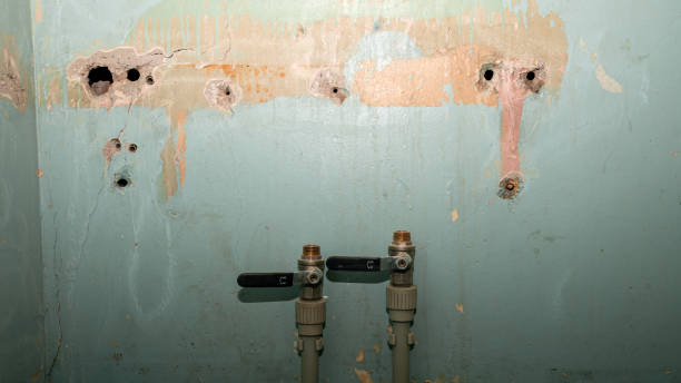 Best Water damage restoration near me  in Lowes Island, VA