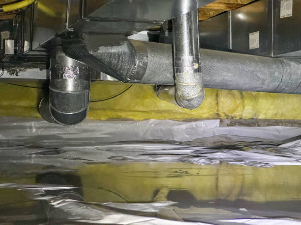 Best Sewage cleanup and water damage restoration  in Lowes Island, VA