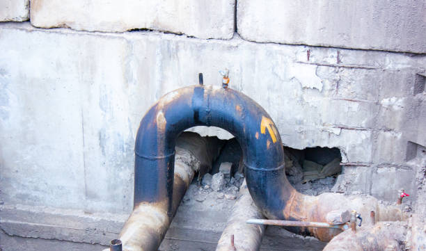 Best Water damage cleanup near me  in Lowes Island, VA