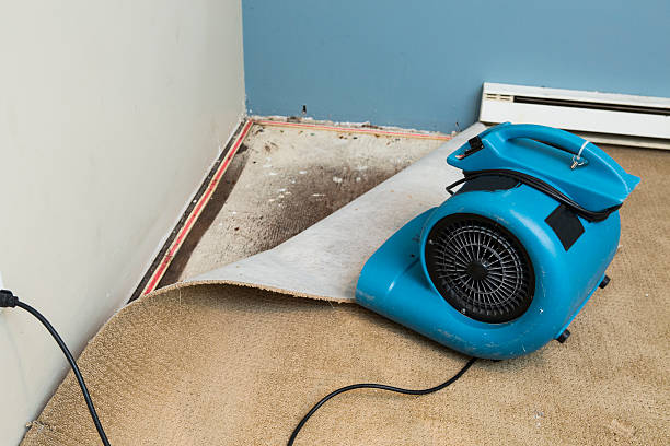 Best Ceiling water damage repair  in Lowes Island, VA